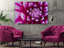 Obraz Fialový zoom kvetu